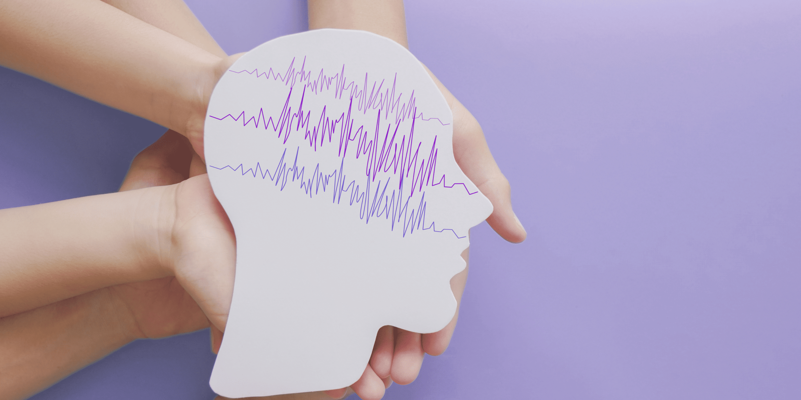 Wat is een aanval? - Epilepsy Foundation of Minnesota, image size:2560x1280